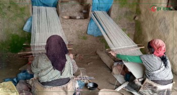 राडीपाखी व्यवसाय आत्मनिर्भरको माध्यम बन्दै, बजार र चरनको अभाव कायमै