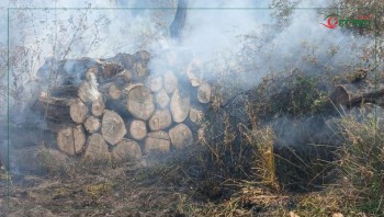 रौतहटको नमुना सामुदायिक वनमा आगलागीः १ करोड बढीको काठ नष्ट
