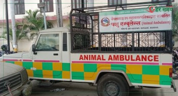 जनावरलाई उद्धारका लागि नेपालगञ्जमा ‘एनिमल एम्बुलेन्स’ सञ्चालन