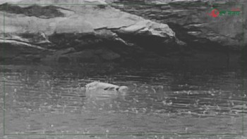 बागमती नदीमा बेपत्ता भएका स्याङ्तानको शव तीन दिनपछि फेला