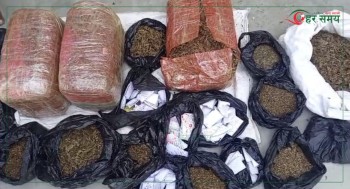 सर्लाहीमा २० किलो बढी गाँजासहित दुई जना पक्राउ