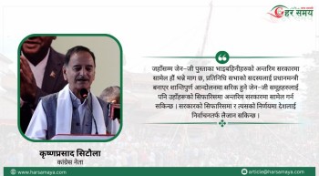 प्रतिनिधि सभाको सदस्य मात्रै प्रधानमन्त्री बन्ने अवस्था संविधानमा छ : कृष्णप्रसाद सिटौला