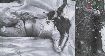 रौतहटमा श्रृङ्खलाबद्ध नवविवाहिताको हत्या, फेरि मृत भेटिन् एक महिला 