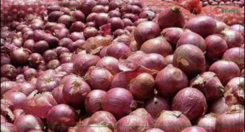 भारतीय बजारमा महंगीयो प्याज, नेपालमा पनि मूल्य उकालो लाग्दै