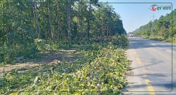 पूर्वपश्चिम राजमार्ग विस्तारका लागि ११ हजार बढी रुख काटिने