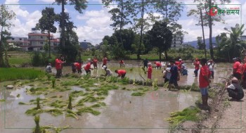 पोखरामा विप्लव नेतृत्वको नेकपाले आयोजना गर्यो रोपाइँ महोत्सव