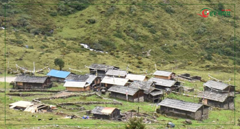 जाडो बढेसँगै रित्तिँदै ताप्लेजुङका हिमाली बस्ती