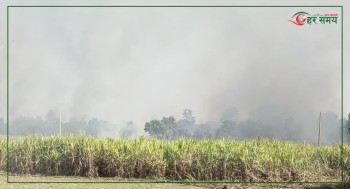 सर्लाहीको उखु खेतीमा भीषण आगलागी