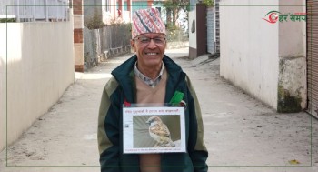 कीर्तिपुरका ‘भँगेरा बाजे’ : जो घर घरमा भँगेराको वासस्थान निर्माणमा सक्रिय छन्