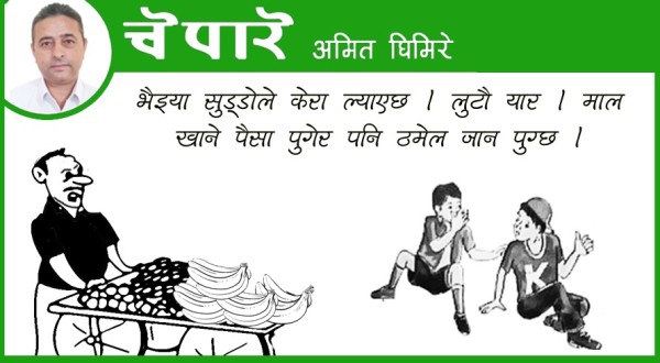 कार्टुन : भैयाको केरा, ठमेलको फेरा !