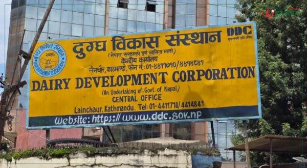 दुग्ध विकास संस्थानमा गम्भीर अनियमितता : कर्मचारी संगठनद्वारा सार्वजनिक आरोप र कारबाहीको माग (विज्ञप्तीसहित)