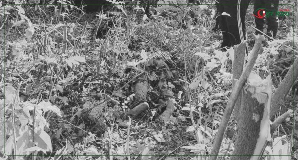 बर्दियामा चितुवाले आक्रमण गर्दा महिलाको मृत्यु, दुई जनाले भागेर ज्यान बचाए