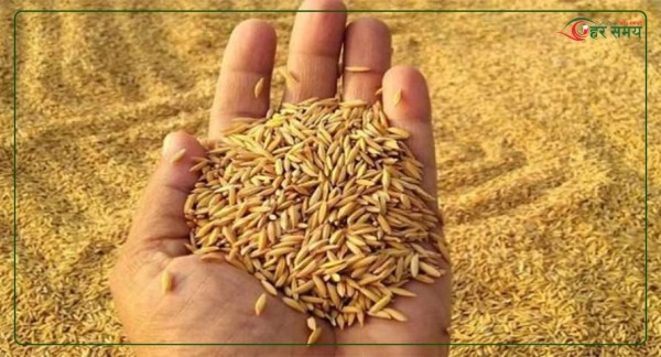 मधेशमा तोकियो धानको न्यूनतम समर्थन मूल्य