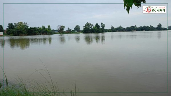 रौतहटका धान खेत जलाशयमा परिणत, किसान मर्कामा