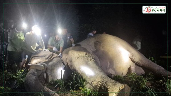 ध्रुवे हात्तीलाई रेडियो कलर जडान, बस्तीमा आउनुअघि नै जानकारी हुने