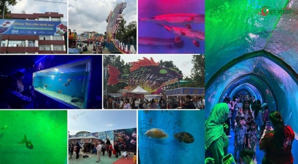 जावलाखेलमा समुन्द्री माछा हेर्नेको भिड (भिडियोसहित)