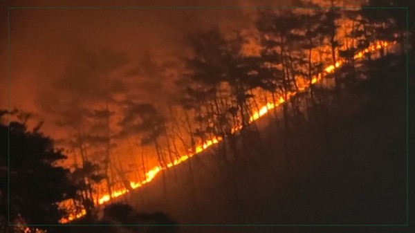 दक्षिण कोरियामा भीषण डढेलो, २८ जनाको मृत्यु