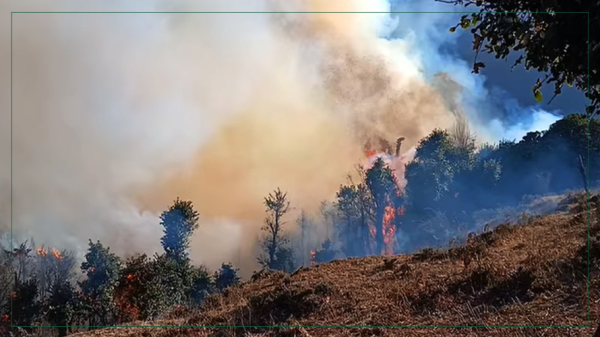 सामुदायिक वनमा लागेको आगो निभाउन कठिन, जोखिममा भेडीगोठ