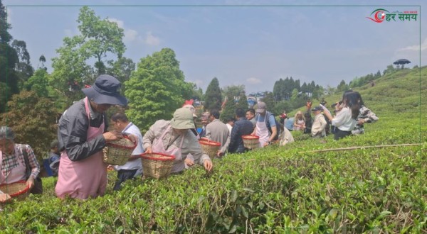 इलाममा चिया टिप्दै १५ देशका कूटनीतिज्ञहरु, ‘पर्यटन दूत’ बन्न मन्त्रीको आग्रह
