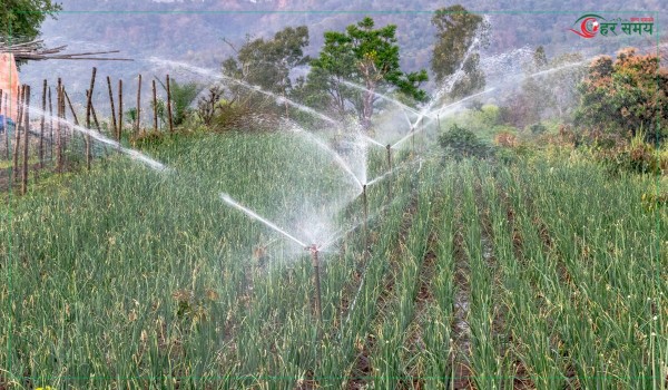 ग्रामीण कृषिः ‘लिफ्ट’सिँचाइले फेरियो मेटेराको मुहार