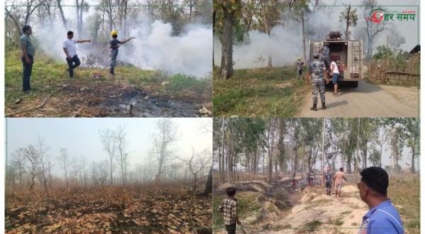 रौतहटका वन जङ्गलमा डढेलोको प्रकोप, मानव बस्ती जोखिममा