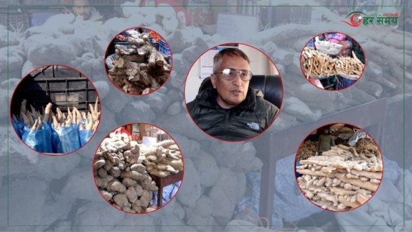 माघे संक्रान्तिले बढायो तरुलको कारोबार