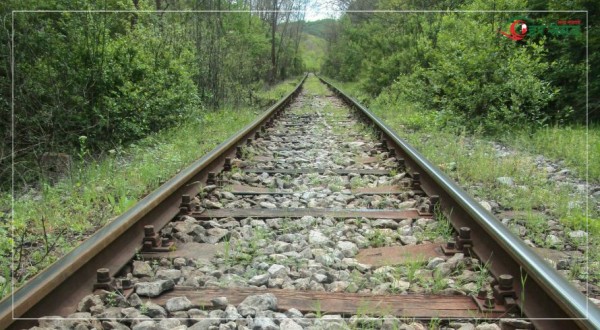 मालवाहक रेल विराटनगर ल्याउने बाटो खुल्यो