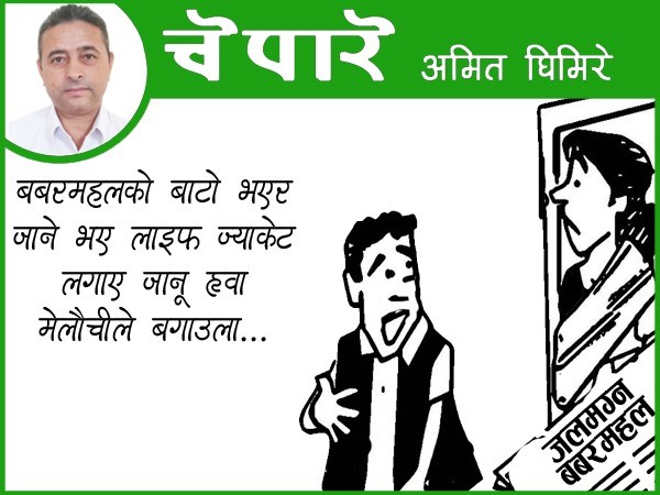 बचाउ! बाढी होइन, बेवास्ताले मार्छ !