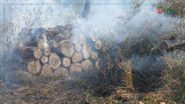 रौतहटको नमुना सामुदायिक वनमा आगलागीः १ करोड बढीको काठ नष्ट