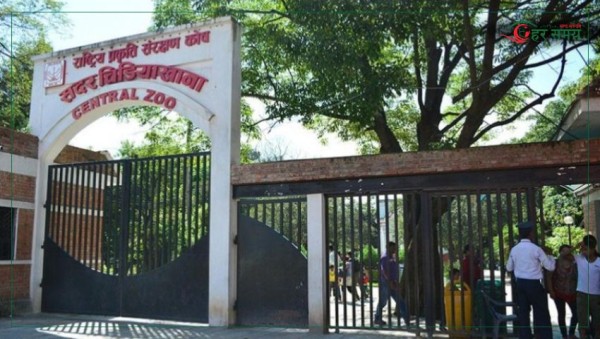 बर्ड फ्लु संक्रमण लुकाएको आरोपमा चिडियाखाना प्रमुख बर्खास्त