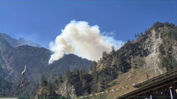 तिमाङको जङ्गलमा लागेको आगो अझै निभाउन सकिएन