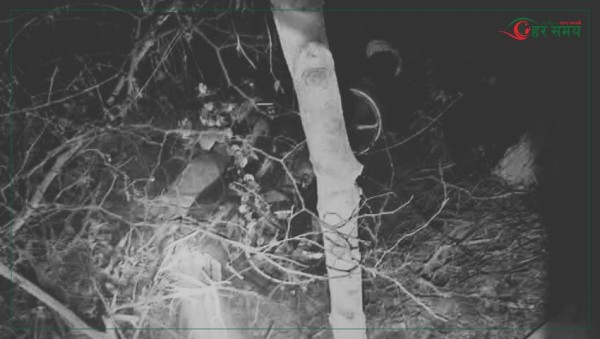 रौतहटमा मोटरसाइकल दुर्घटना हुँदा दम्पतीको मृत्यु