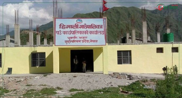 बहुमूल्य जडीबुटी चोरी निकासी हुन थालेपछि बाजुराको हिमाली गाउँपालिकाद्वारा निगरानी