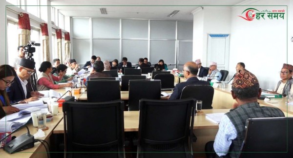 राष्ट्रिय सभा अन्तर्गत दुई समितिको बैठक बस्दै