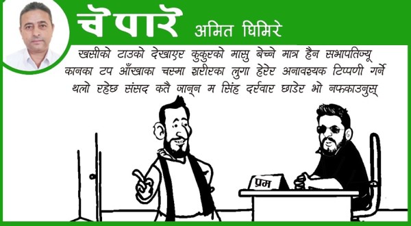 कार्टुन : सिंहदरबार छाडेर भो कतै जान्न म सभापतिज्यू !