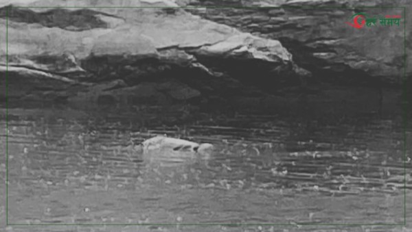 बागमती नदीमा बेपत्ता भएका स्याङ्तानको शव तीन दिनपछि फेला