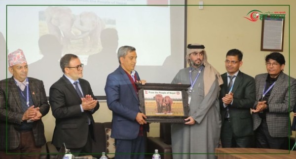 कतार उडे खगेन्द्र र रुद्रकली