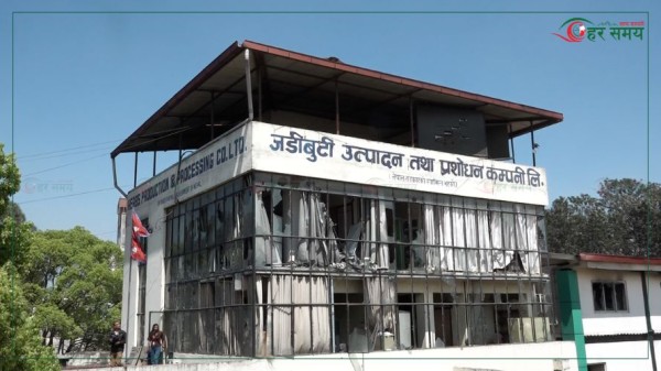 जटिबुटी उत्पादन तथा प्रशोधन केन्द्र संचालन गर्न तत्काल १० करोड चाहिने