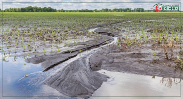 भारी वर्षाबाट कृषि र पशुपालनमा क्षति