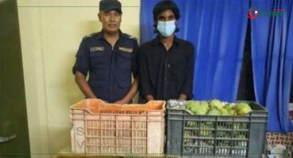 ४ हजार ५ सय पिस एम्पुल सहित अन्सारी पक्राउ