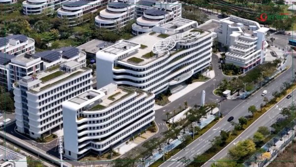 चीनमा मोती प्रशोधन उद्योग चम्कियो