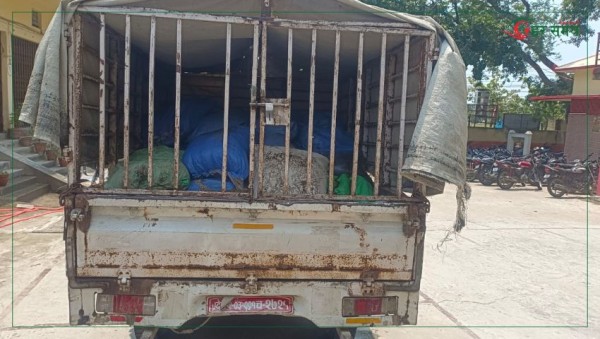भन्सार छलीका सामग्री र पिकअप गाडीसहित एकजना नियन्त्रणमा, चालक फरार