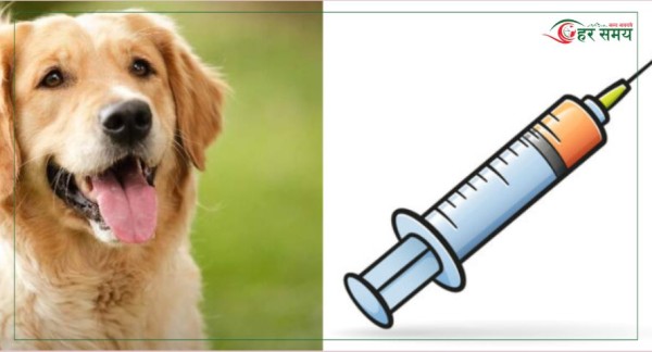 आज विश्व रेबिज दिवस