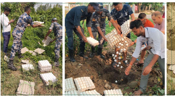 अवैध ढंगले भित्रिने सेतो अण्डा नष्ट गर्ने अभियानमा सशस्त्र प्रहरी