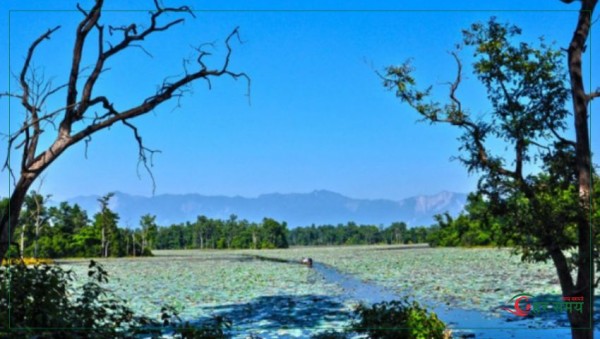 आज विश्व सिमसार दिवस विश्वभर मनाइँदै
