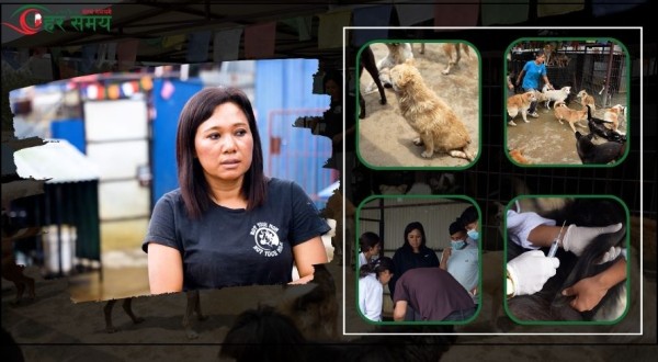 ‘जारा’लाई छिमेकीले विष खुवाइदिए अनि स्नेहाले बाटो मोडिन् (भिडियोसहित)