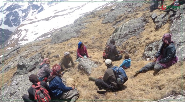 मुगुको पाटन क्षेत्रमा अनुमति नलिइ यार्सा संकलन गर्नेको भीड