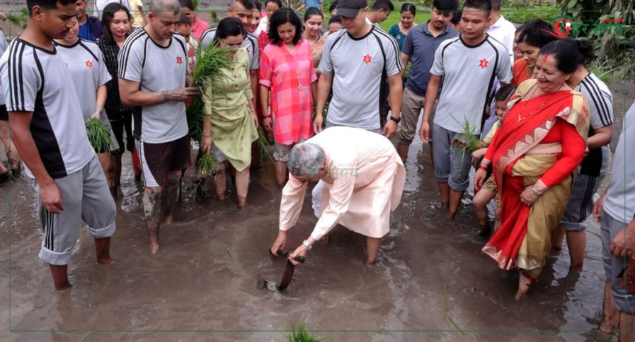 शीतलनिवासमा प्रतिकात्मक रोपाइँ, राष्ट्रपति पौडेल सहभागी
