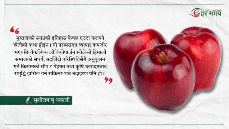 हिमालपारी ‘झ्याउ’ मानिएको ‘स्याउ’ले कसरी बदल्यो जीवनस्तर ?