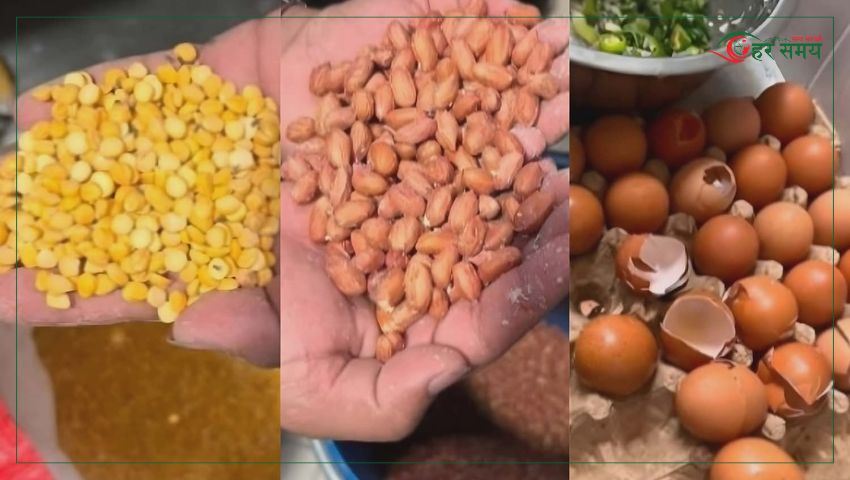 सिंहदरबारको क्यान्टिनमा भेटियो घुन लागेको दाल, ओसिएको बदाम र फुटेको अण्डा